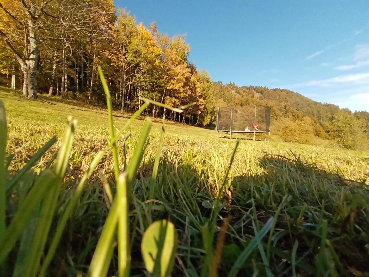 Waldner'S Ferienwohnung Hermagor-Pressegger See Exteriör bild