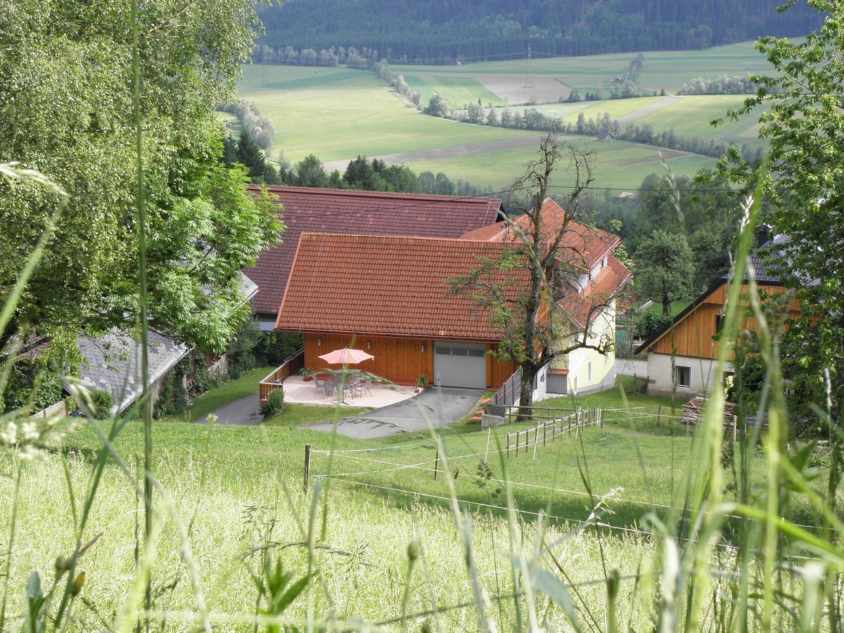 Waldner'S Ferienwohnung Hermagor-Pressegger See Exteriör bild